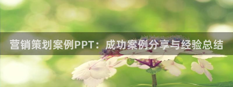 必赢官网app下载安装最新版苹果