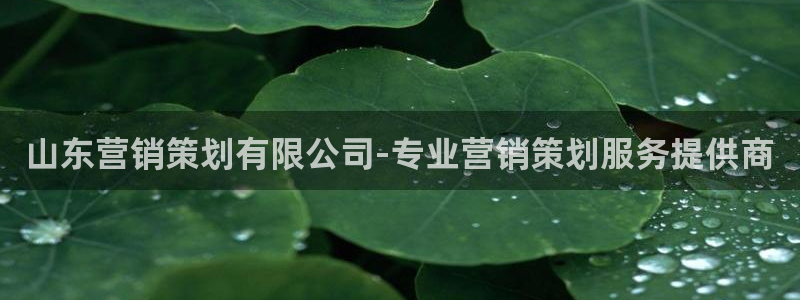 必赢网站是哪一个