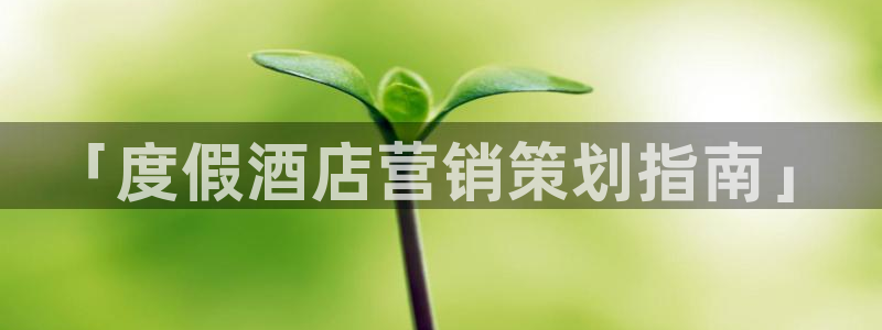 数30技巧必赢三个数