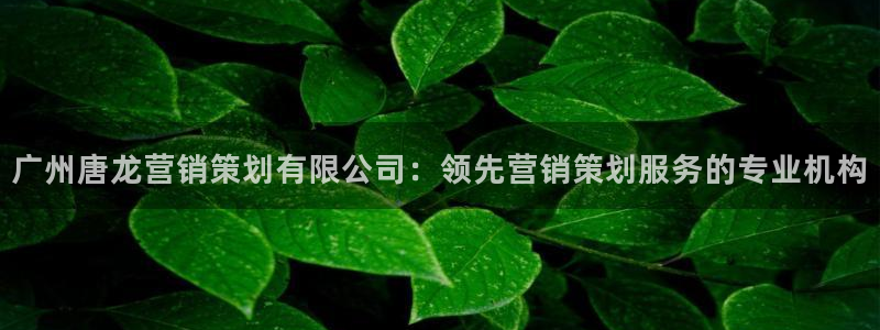 必赢棋盘app下载官网
