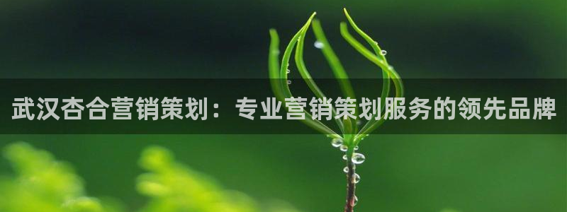 必赢手机app下载官网