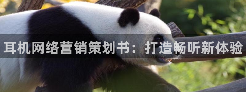 必赢集团网站