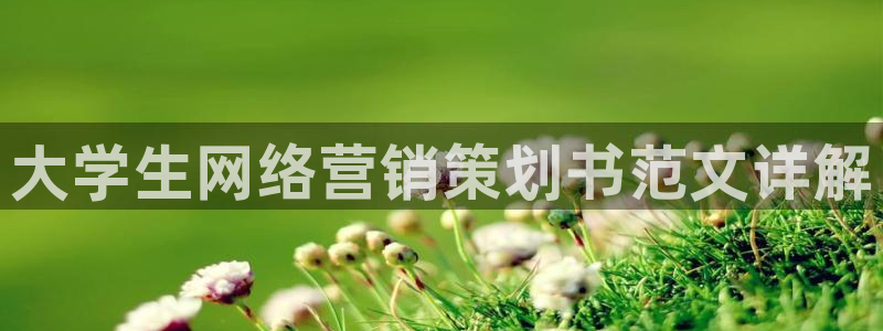 必赢平台官方网站登录