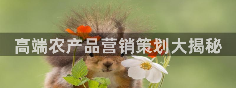 必赢公司是怎样的一家企业