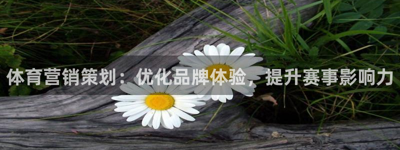 必赢官网网址8873