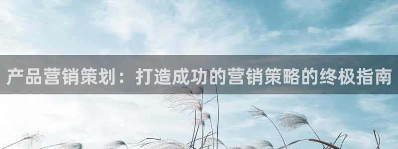 必赢官网网站入口下载