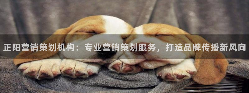 必赢bwinapp