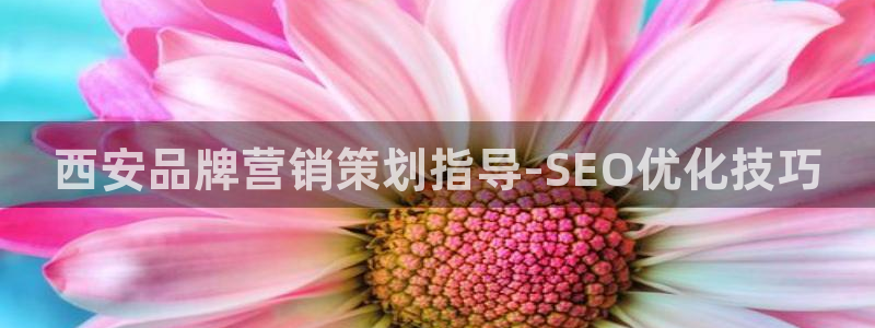 必赢国际437官方简介