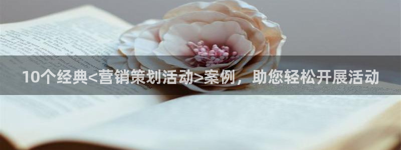 必赢3003平台