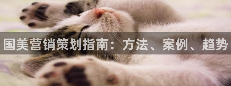 必赢3003+会员账号