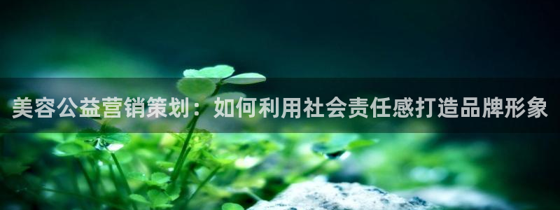 必赢最新网页