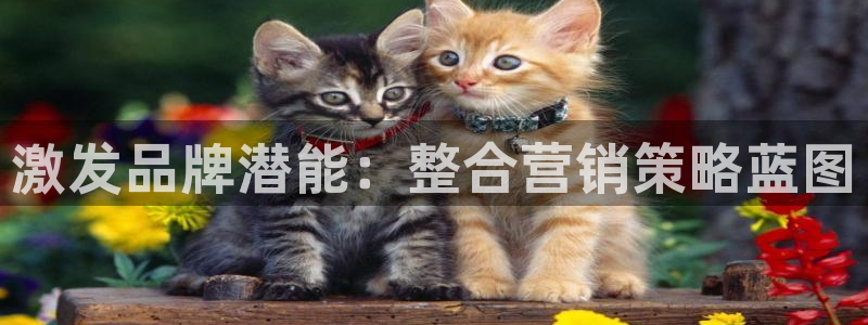 必赢565net官网