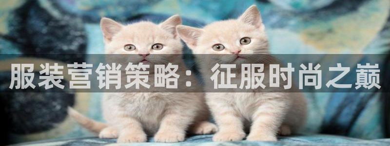必赢官网app下载安装苹果