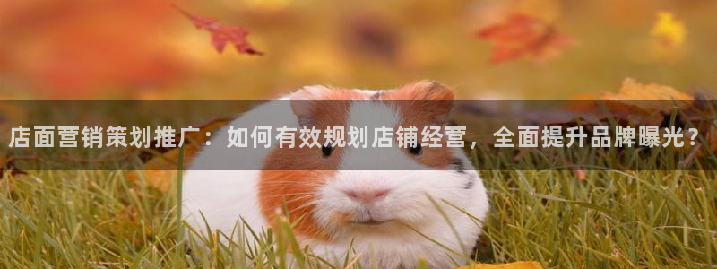 必赢565net官网