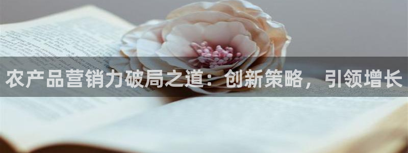 必赢下载地址