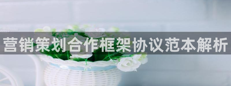 必赢集团网站是什么