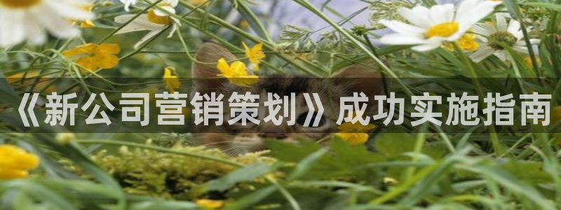 必赢客官方