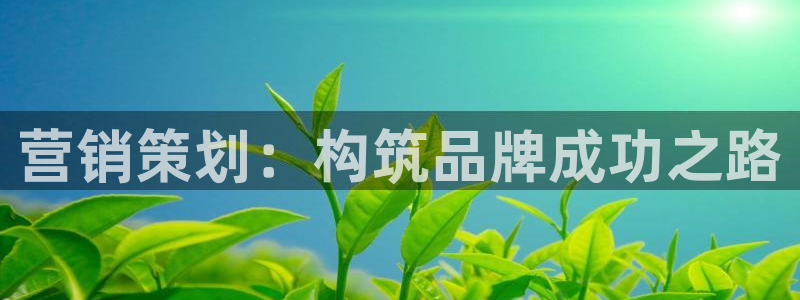 必赢国际app下链接