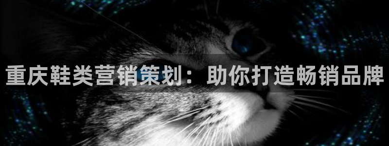 必赢app客户端下载