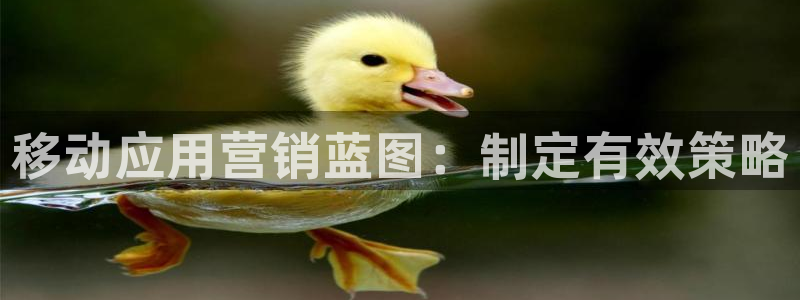 必赢集团网站官网