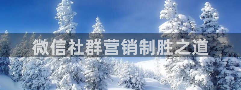 必赢官网网站首页