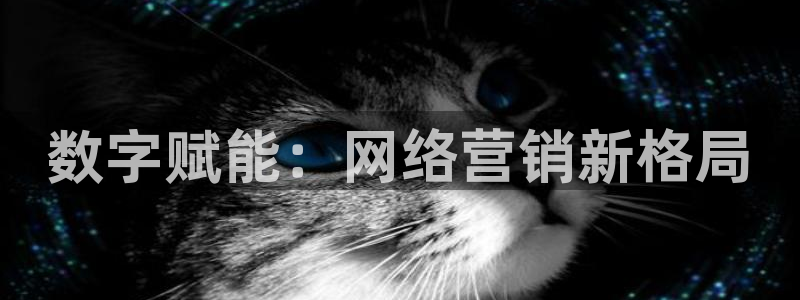 必赢集团网站