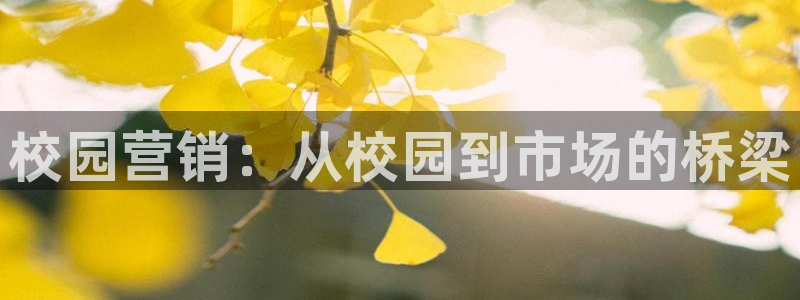 必赢平台官方网站