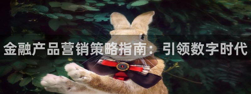 必赢平台怎么样