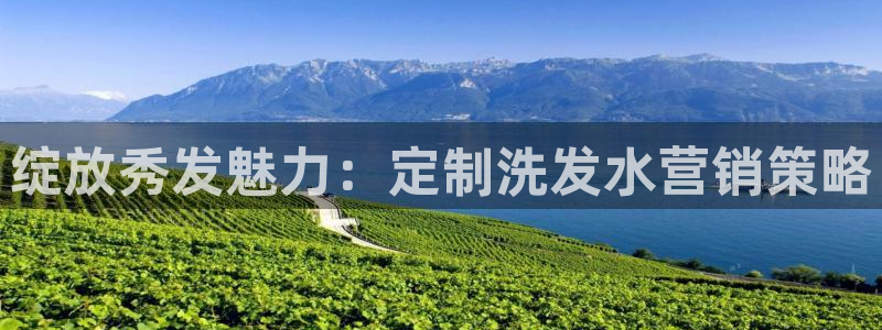 必赢网怎么打不开了