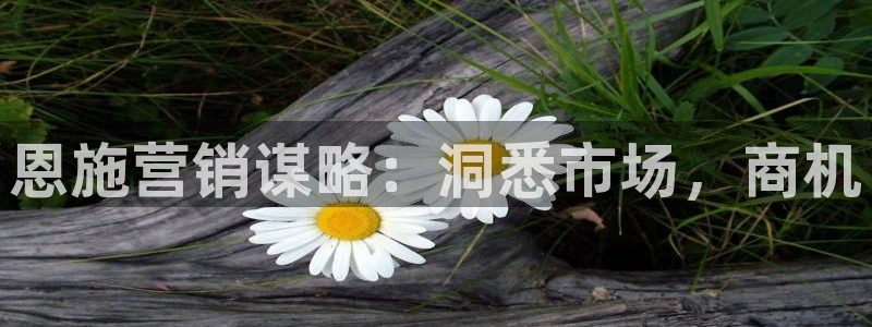 必赢下载苹果手机app