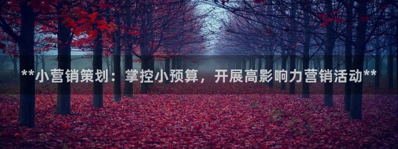 必赢客官方