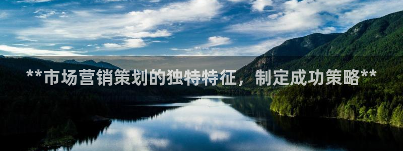 必赢科技有限公司