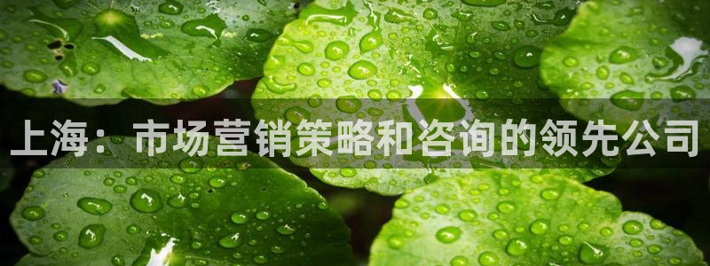 必赢集团菲律宾