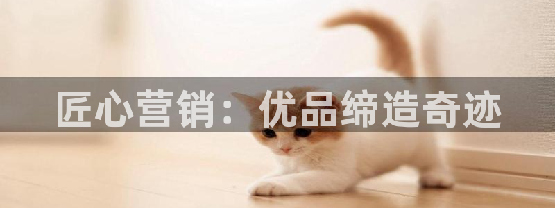 必赢国际技巧
