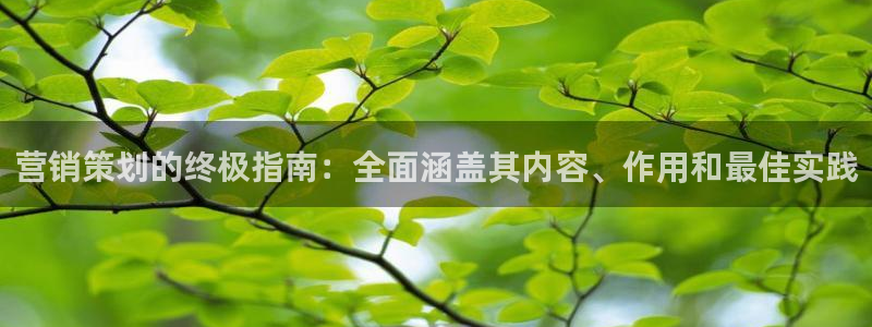 必赢宝app软件下载