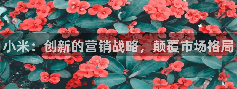 必赢亚赢网站官网下载安卓版