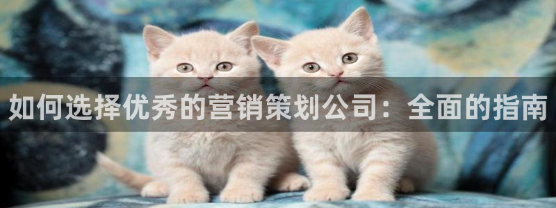 必赢网怎么打不开了
