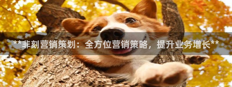 必赢亚赢网站官网下载手机版安装