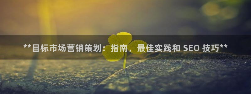 必赢公司