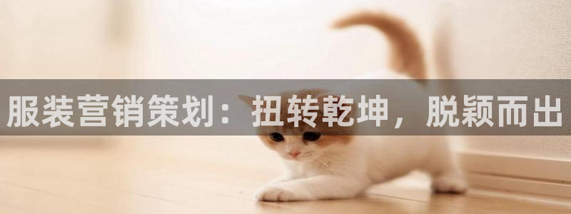 必赢网怎么打不开了呀