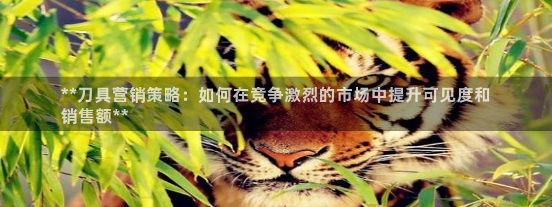 必赢活动iosapp下载
