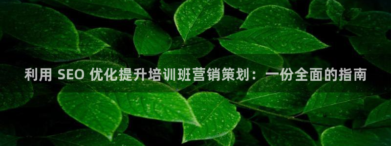 必赢首页