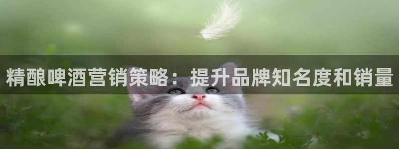 必赢手机app下载 最新版苹果