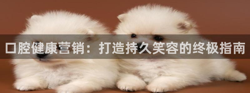 必赢活动安卓下载app