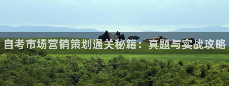 95必赢网址多少