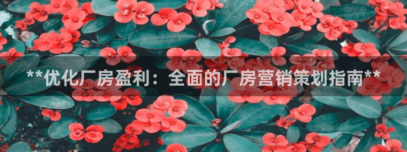 必赢官网app下载安装苹果