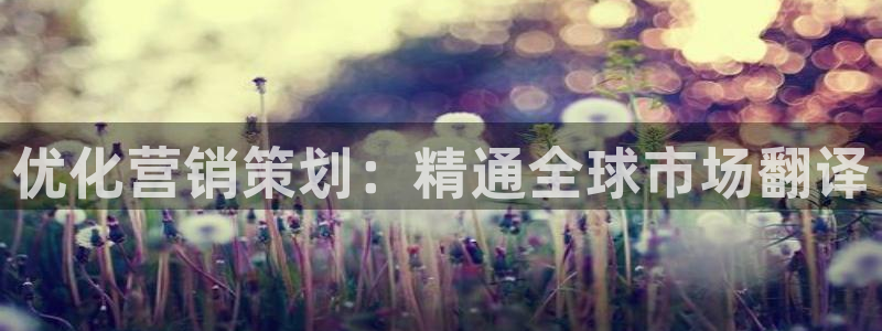 必赢科技北京有限公司