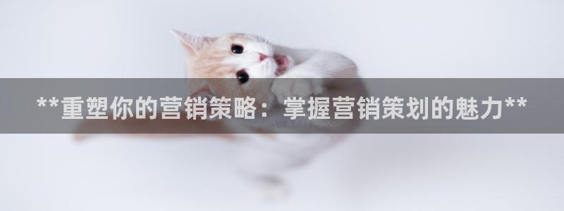 必赢网站是哪一个公司的