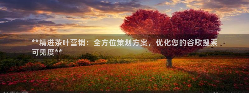 必赢集团网站是什么
