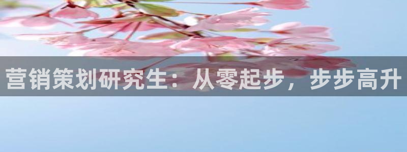 必赢网站是哪一个平台